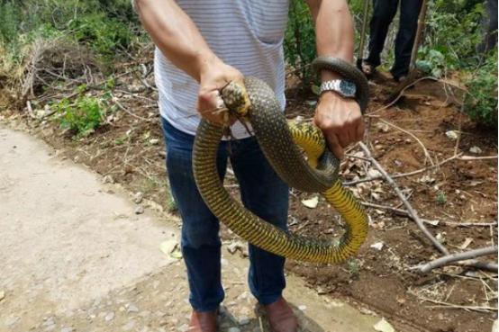 河南，中原文明的璀璨瑰宝