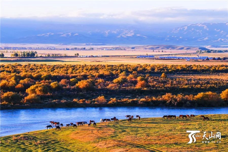 新疆的魅力与风情