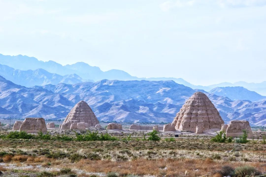 宁夏风情，一见倾心的塞上江南之美🌸🌴