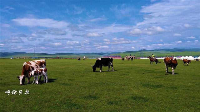 呼伦贝尔，草原之美的壮丽赞歌